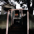 Knuckle Puck - Alexander PI.