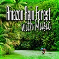 Music for Meditation - Rain Forest Meditation and Healing Music (Nature Sounds)