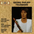 walter van hauwe、bob van asperen、wouter möller - Partita in G Minor, TWV. 41 No. 4