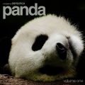 Eva Kade、Sensorica - Sunlight Again (Chill out Version)