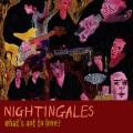 The Nightingales - Plenty Of Spare