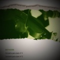 Walter Gieseking - Piano Concerto No. 4 in G Major, Op. 58: III. Rondo. Vivace
