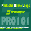 Fantastic House Loops