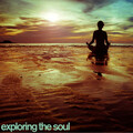 Exploring the Soul