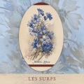 Les Surfs - Dum Dum Dee Dum