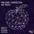 Andy Bublick - Funk Again