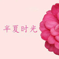 樹TreeRadio - 为你写的歌