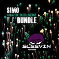 Native Intelligence、Simo - Bundle (Eddie Hoey & Patrick Tarantino Remix Remix)