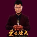 曾巍 - 爱的烛光
