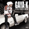 GAYA-K - あしたの風