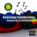 DJ SNYPAYUSH、Jay Sean、Nicki Minaj - 2012