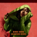 M.I.A. - Bird Song