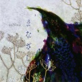 anNina - まなざし (眼神)