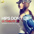 Ameritz - Tribute (阿莫瑞兹音乐) - Hips Don't Lie (A Tribute to Shakira and Wyclef Jean)