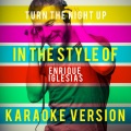 Turn the Night Up (In the Style of Enrique Iglesias) [Karaoke Version] - Single
