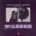 Big Walter Horton - Big Walter's Boogie