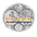 李洋洋 - 地球的两极