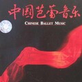 胡炳旭 - 娘子军操练