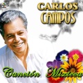 carlos campos - Libre Como El Viento (Tema De Papillon -)