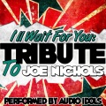 I'll Wait for You: Tribute to Joe Nichols
