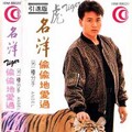 名洋 - 占领了我的心