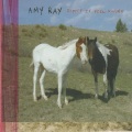Amy Ray - Birds of a Feather
