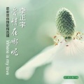 李正宇 - 你忘了我吧