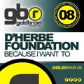D'Herbe Foundation - Because I Want To (Phill Kay Club Mix)