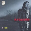 歇斯 - 透视
