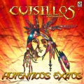 Banda Cuisillos - Por Que No Puedo Olvidarte