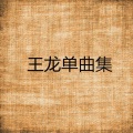 王龙 - 我梦里的故乡