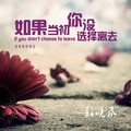郑晓飞 - 不管明天在哪里停留