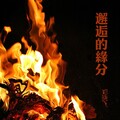 郑晓飞 - 我只是你寂寞的替身