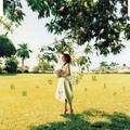 MISIA - 名前のない空を見上げて