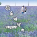 Ving张宁 - 乱乱村