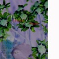杨晨 - 金枝欲孽