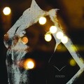 George Maple - Fixed