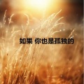 赵鹏杰 - 在写生