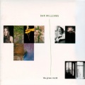 Dar Williams - Playing to the Firmament