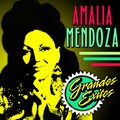 amalia mendoza - Pa' Que Sientas Lo Que Siento