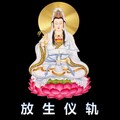 咏咏 - 放生仪轨