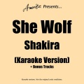 Ameritz Karaoke Band - She Wolf (In The Style Of Shakira)