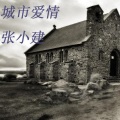张小健 - 城市爱情