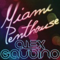 Miami Penthouse (Original Mix)