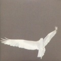 Bardo Pond - I. Invisible Fire, II. The Rebis, III. Latona