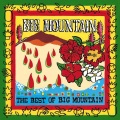 big mountain - Upful & Right