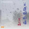 王萌 - 半透明的墙