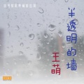 王萌 - 白头到老