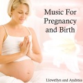 Andreas、Llewellyn - Floating in Mothers Universe