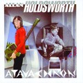 allan holdsworth - Non-Brewed Condiment